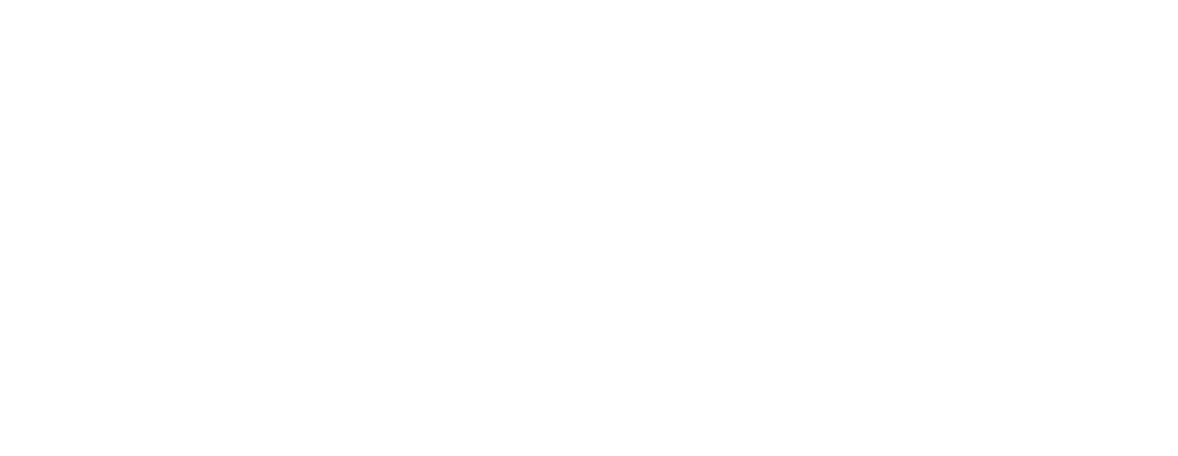 Natural Connections logo