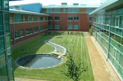 Picture of garden area at Queen Anne High School